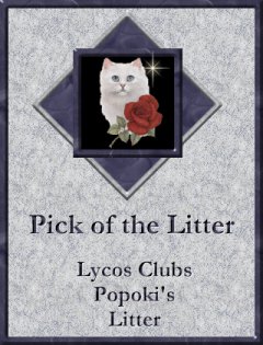 Pick of the Litter Award